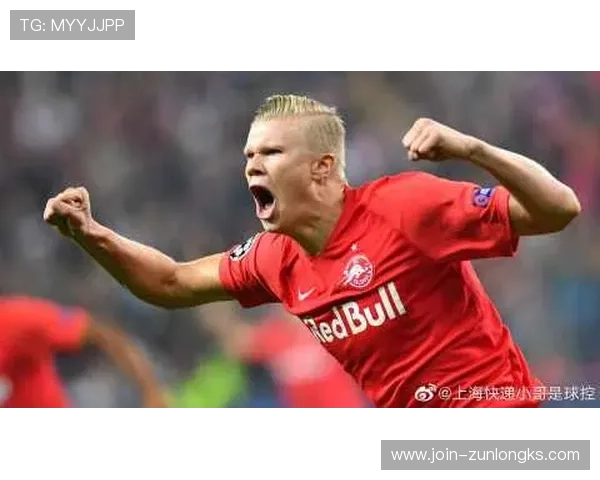 尽情探索z6尊龙官方旗舰店的多样商品与最新优惠